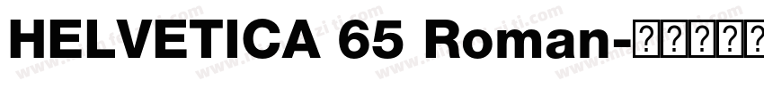 HELVETICA 65 Roman字体转换